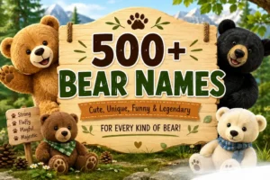 Bear Names