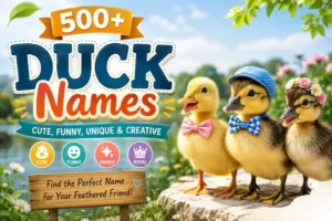Duck Names