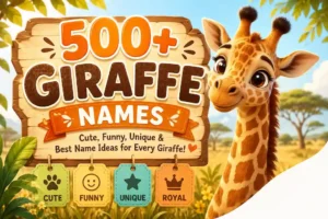 Giraffe Names