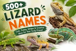 Lizard Names