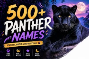 Panther Names