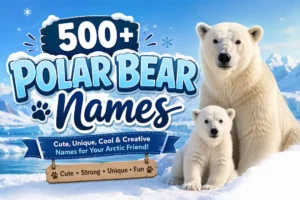 Polar Bear Names