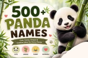 Panda Names